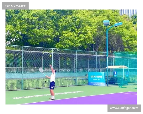 网球比赛技术评分体系分析与评估方法探讨