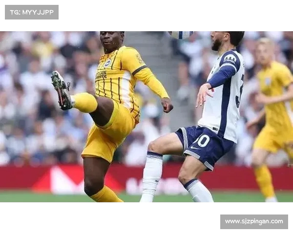 阿莫林对是否签下多纳鲁马笑而不答 球迷猜测未来转会动向